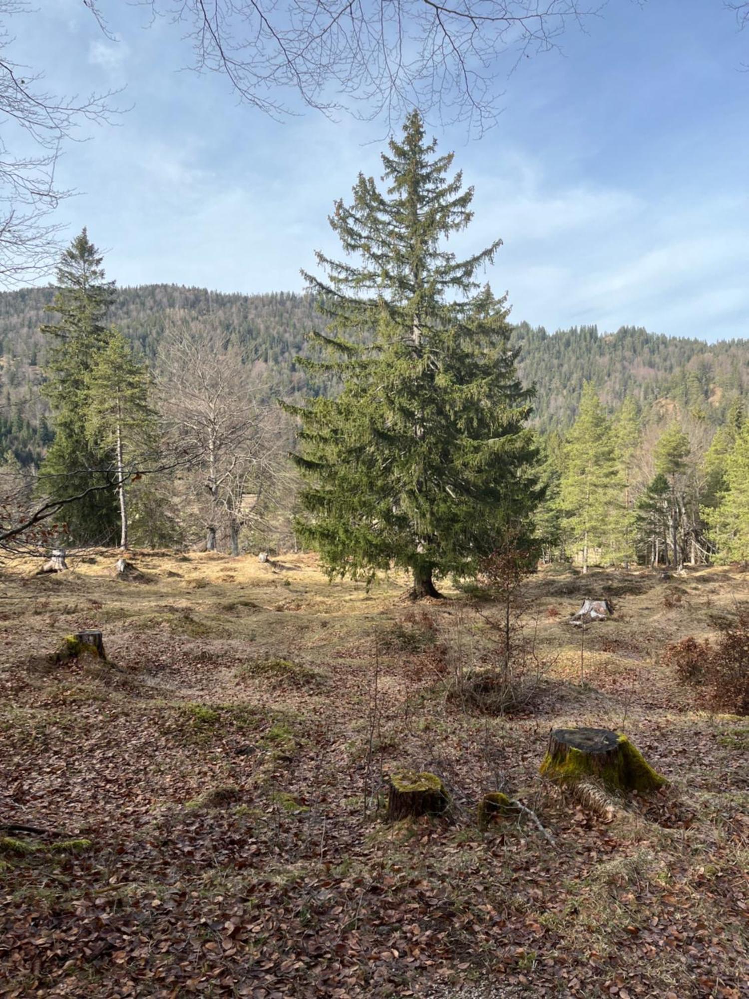 Fewo Lautersee Митенвалд Екстериор снимка