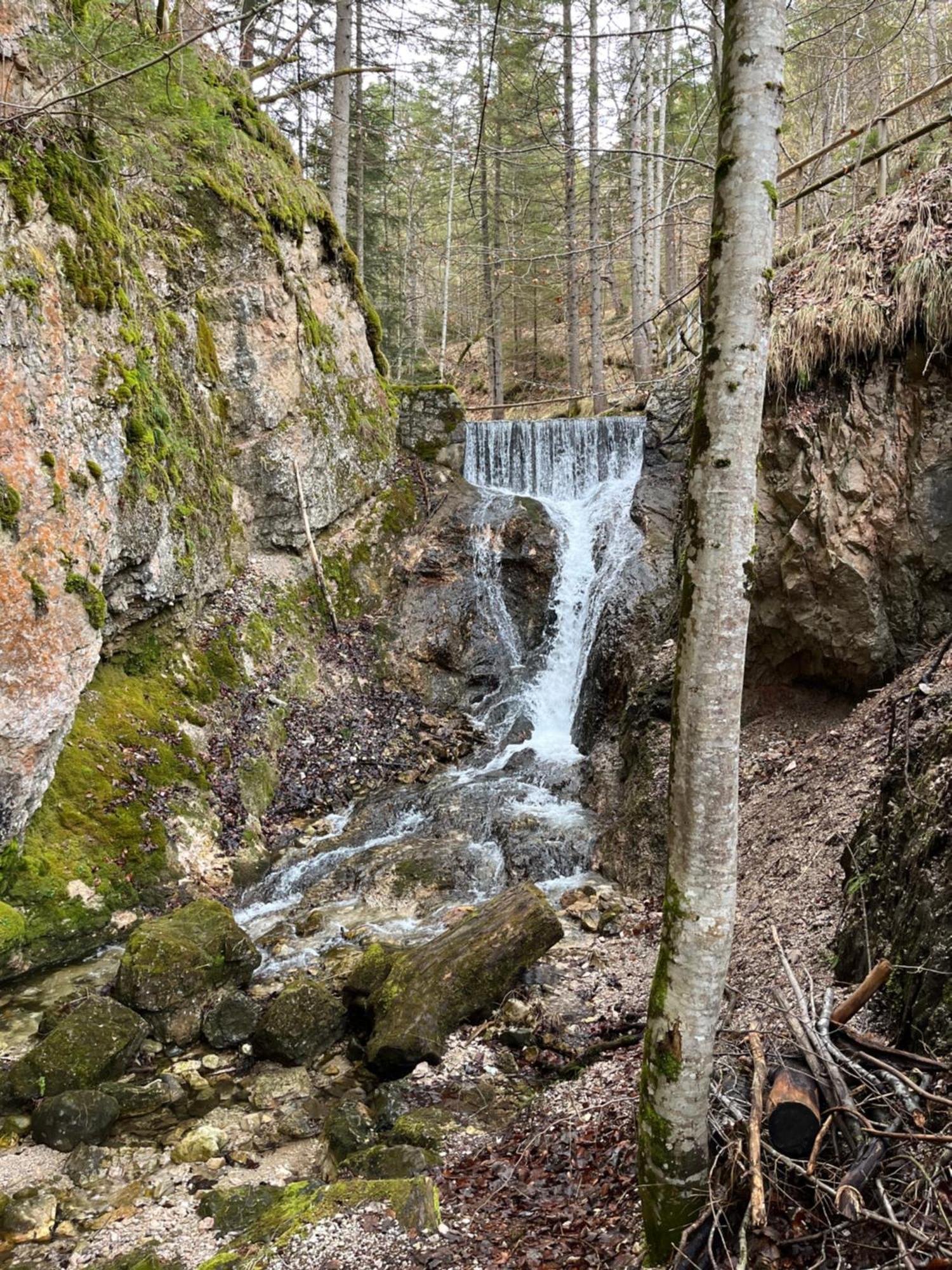 Fewo Lautersee Митенвалд Екстериор снимка